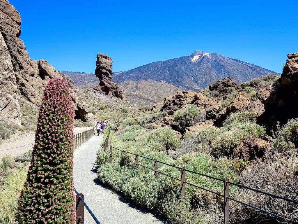 Mountain landscape representing Tenerife's volcanic highlands