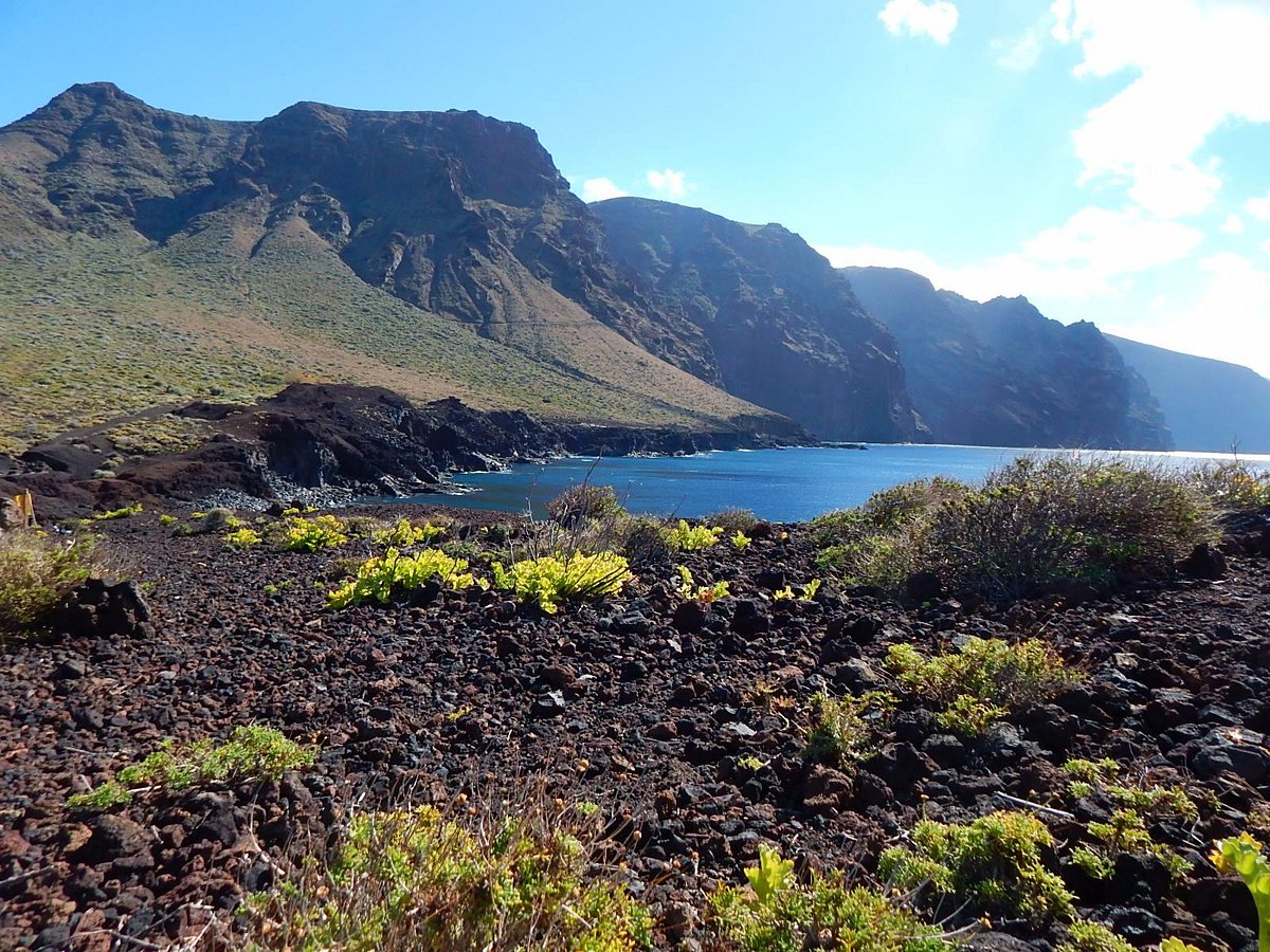 Rugged Atlantic coastline representing Punta de Teno