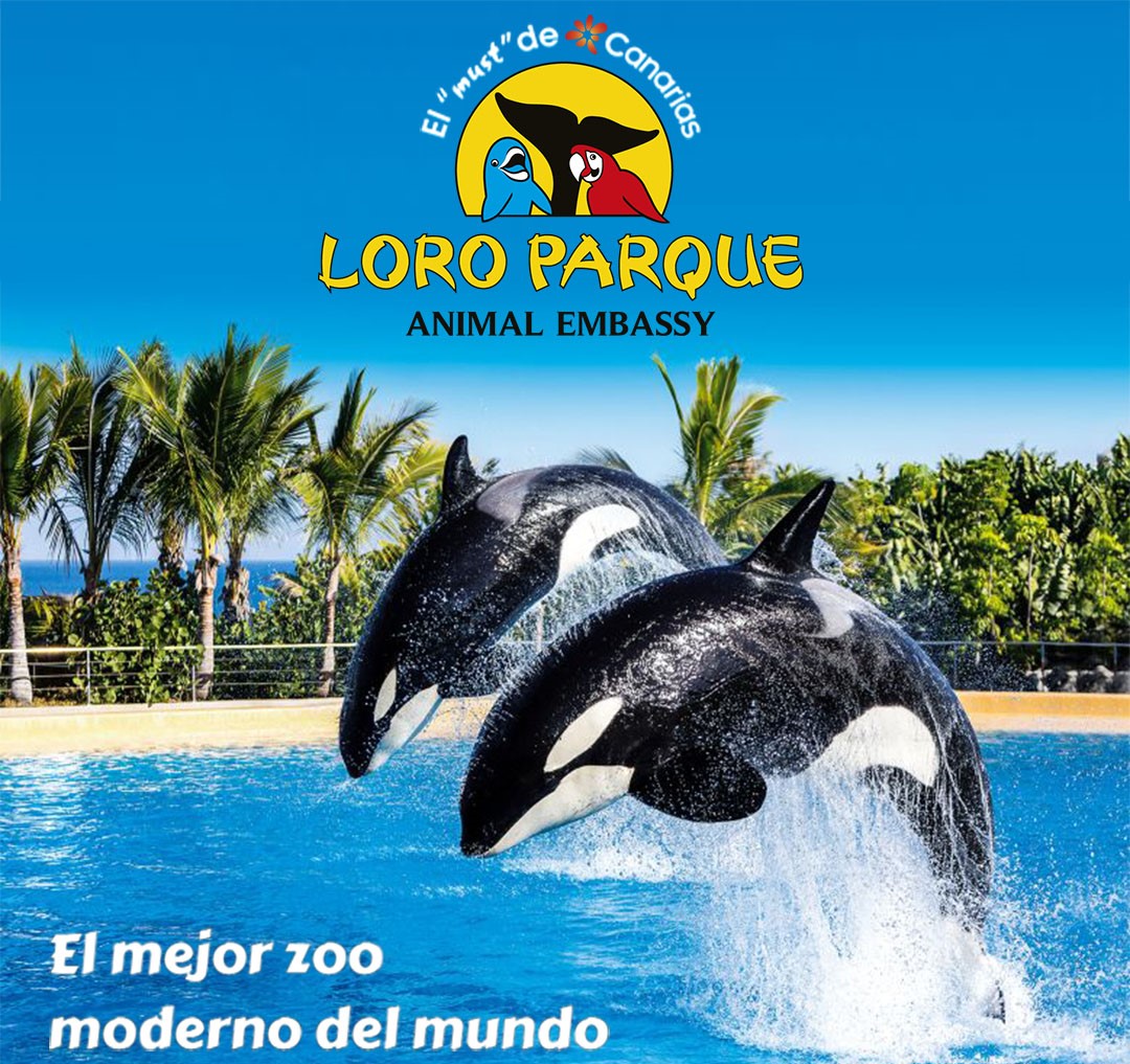 Birds and wildlife representing a family wildlife park
